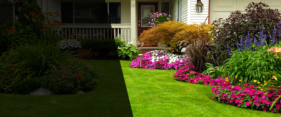 Valdosta Landscapers