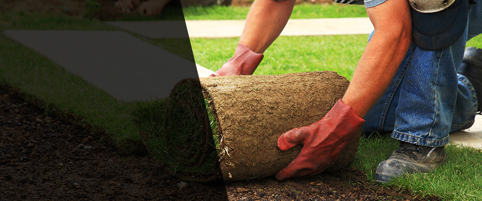 Valdosta Landscapers